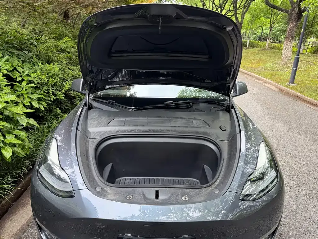 Tesla Model Y — фото 5
