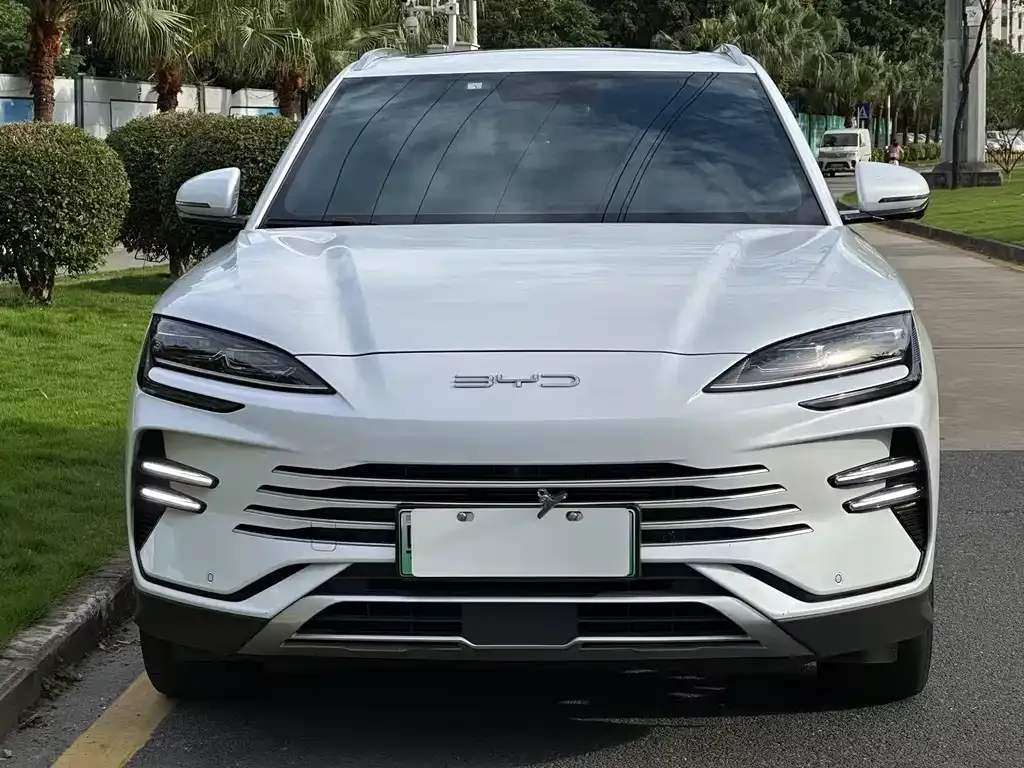 BYD PLUS New Energy — фото 1