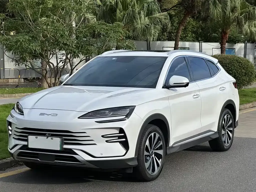 BYD PLUS New Energy — фото 8