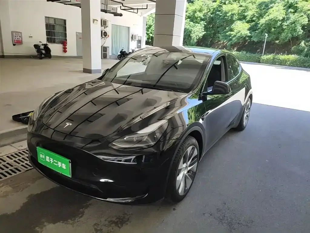 Tesla Model Y — фото 1