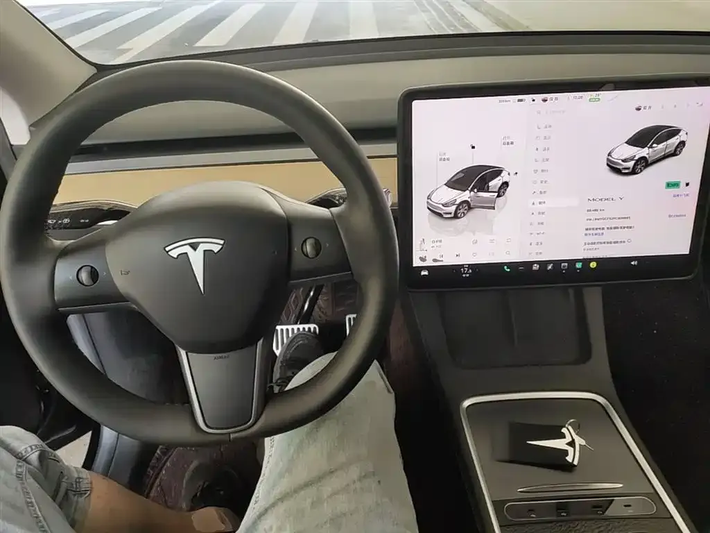 Tesla Model Y — фото 2