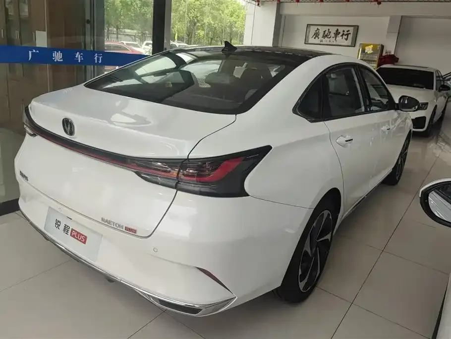 Changan Ruicheng PLUS 2026 из CN, фото 10