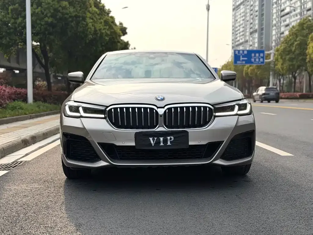 BMW 5 Series 2021 из CN, фото 4