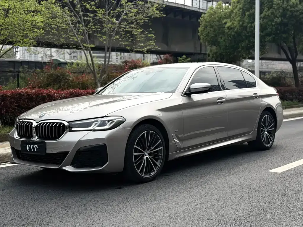 BMW 5 Series 2021 из CN, фото 9
