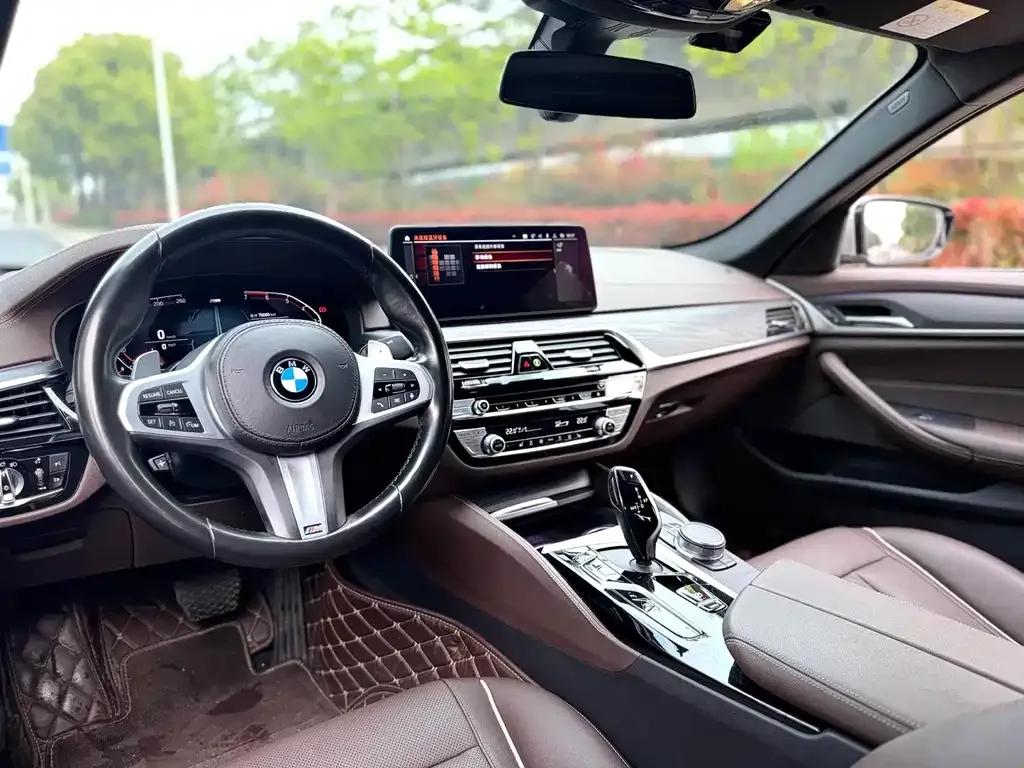 BMW 5 Series 2021 из CN, фото 6
