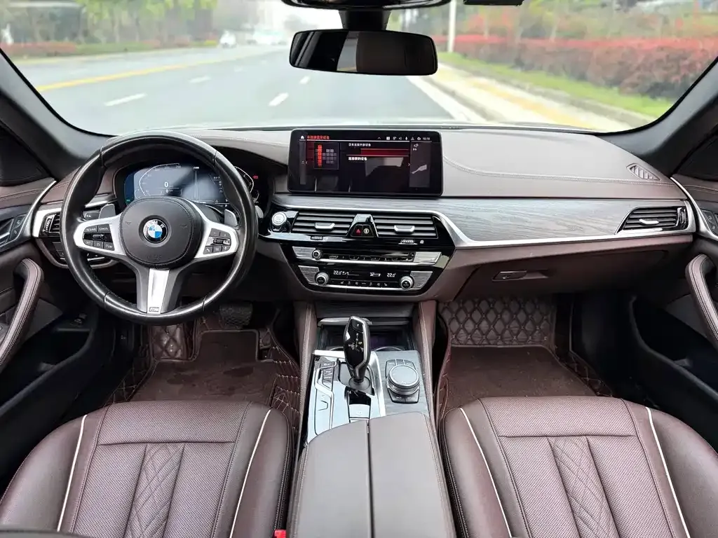BMW 5 Series 2021 из CN, фото 7