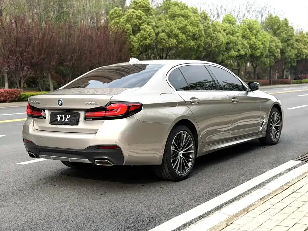 BMW 5 Series 2021 из CN, фото 3