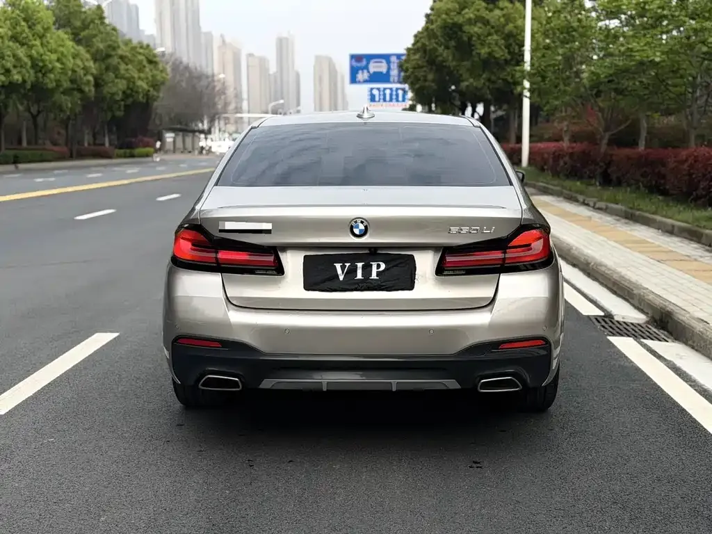 BMW 5 Series 2021 из CN, фото 5