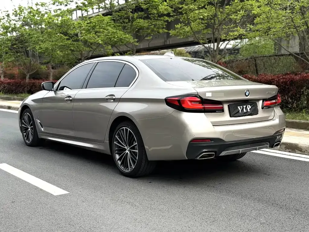 BMW 5 Series 2021 из CN, фото 8