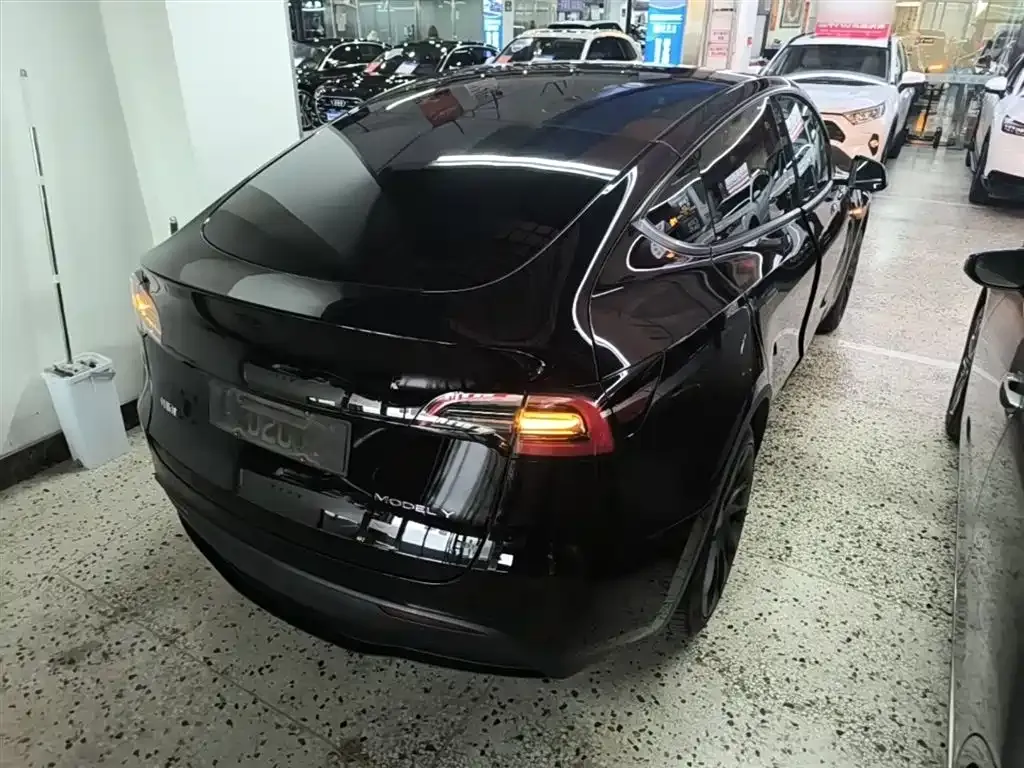 Tesla Model Y — фото 9