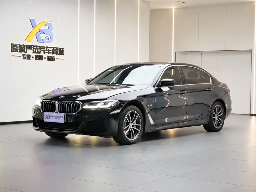 BMW 5 Series New Energy