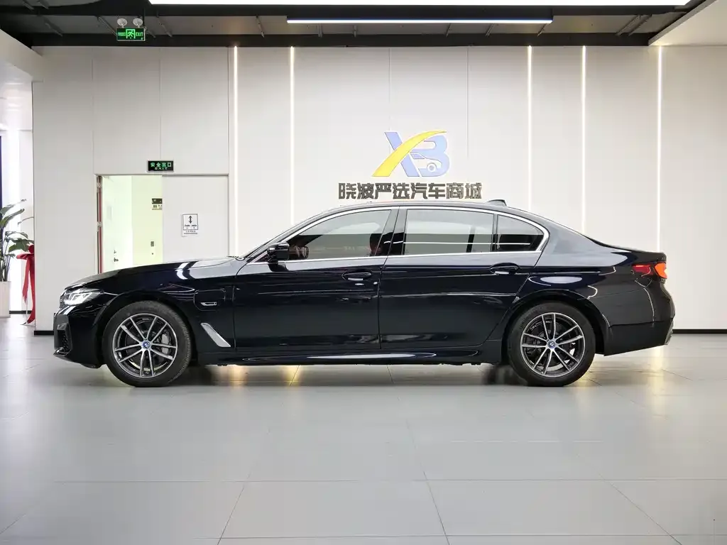 BMW 5 Series New Energy 2022 из CN, фото 7