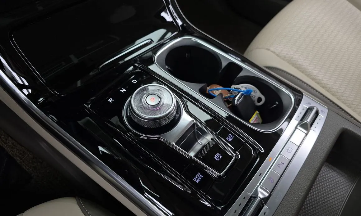 Kia Carnival — фото 10
