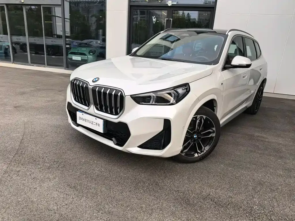 BMW X1 — фото 1