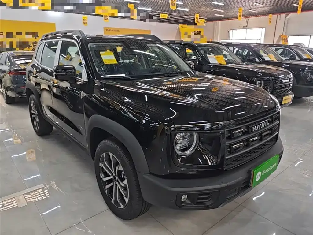 Haval Big Dog — фото 10