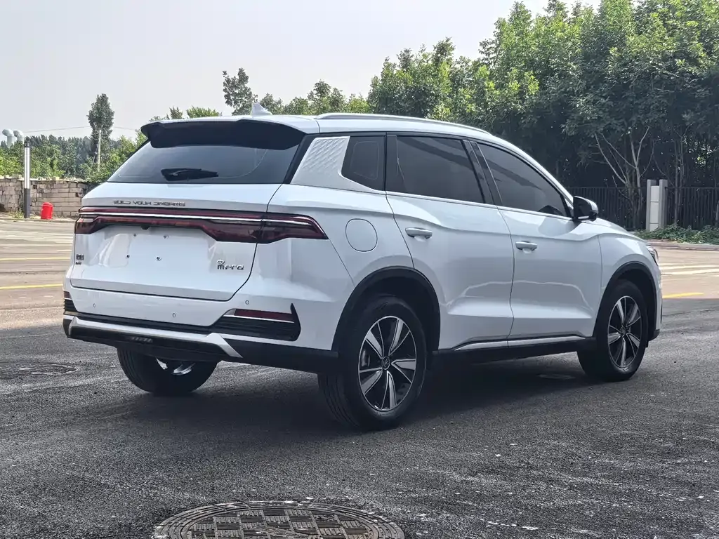 BYD Pro New Energy — фото 10