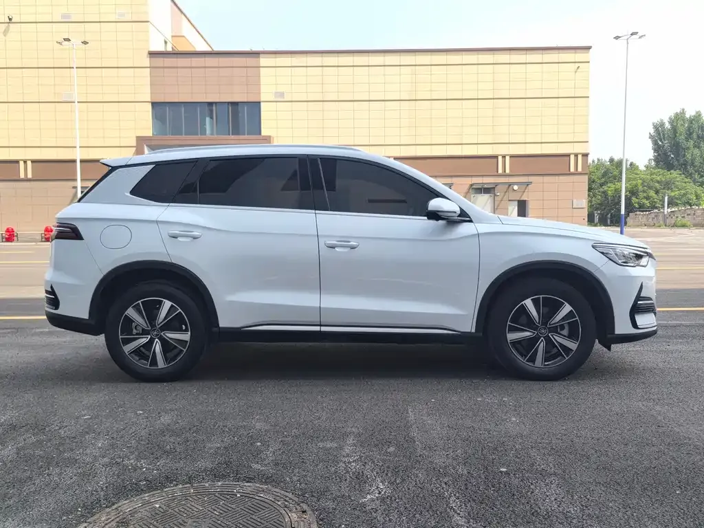 BYD Pro New Energy — фото 3