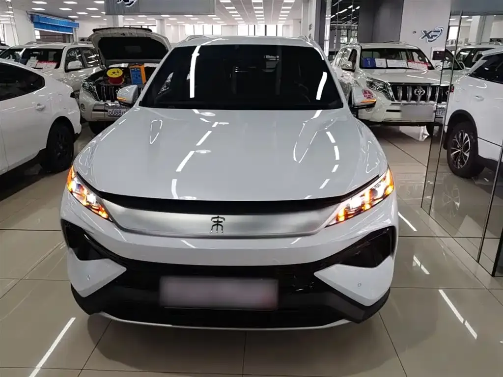 BYD Pro New Energy — фото 9