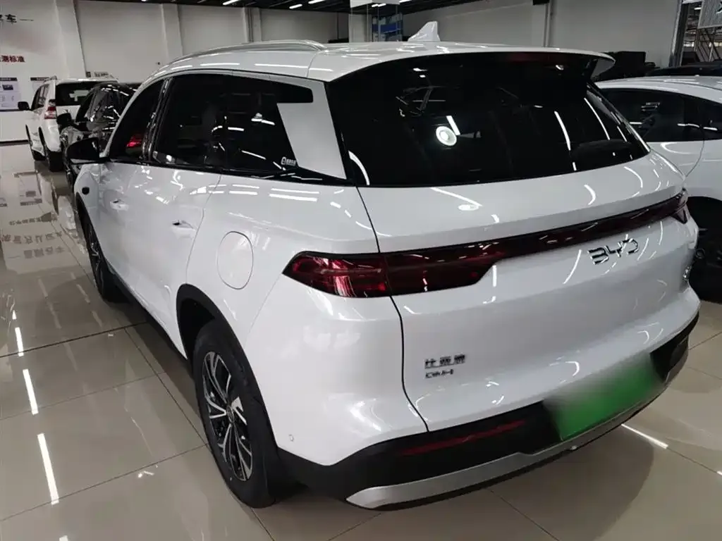 BYD Pro New Energy — фото 3