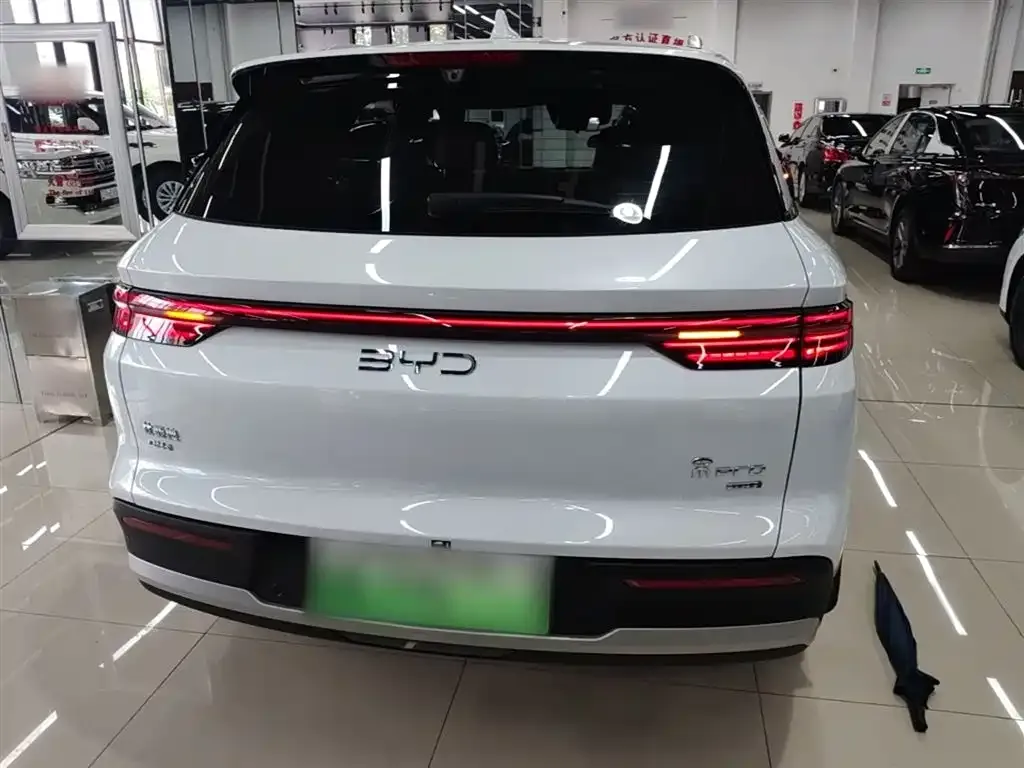 BYD Pro New Energy — фото 4