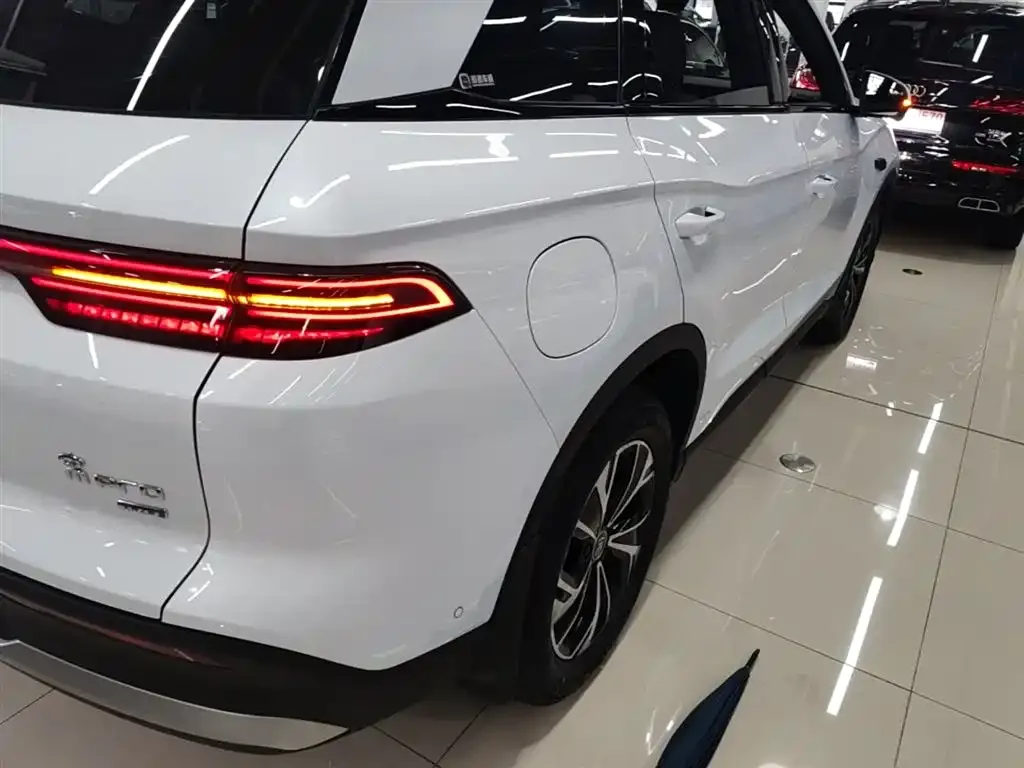 BYD Pro New Energy — фото 2