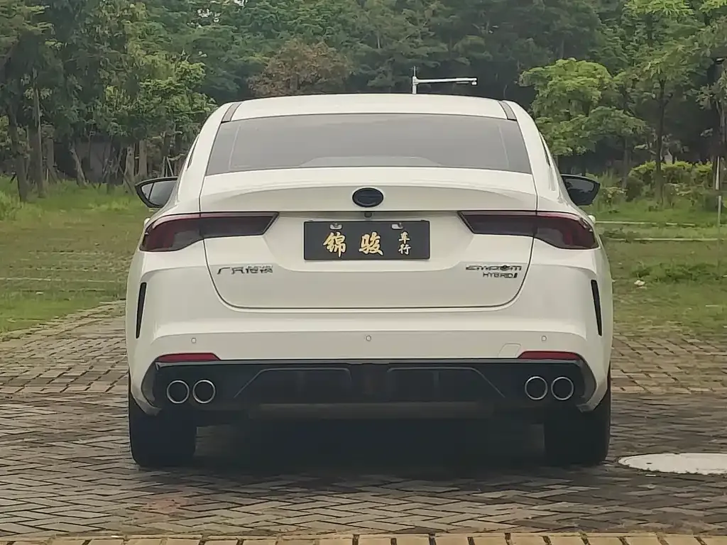 GAC Motor Shadow Leopard — фото 7
