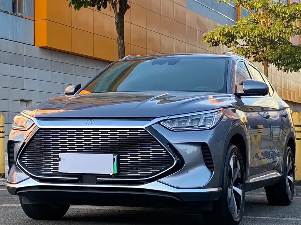 BYD PLUS New Energy — фото 1