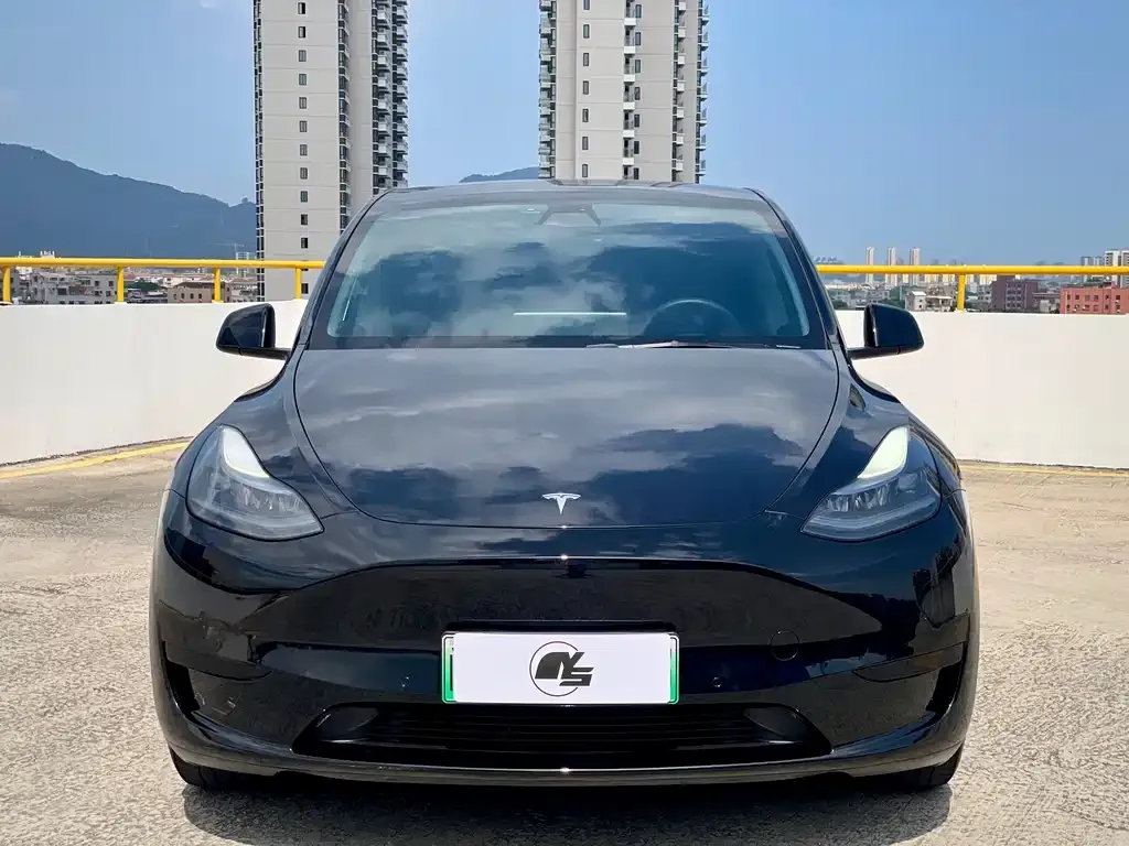 Tesla Model Y — фото 3