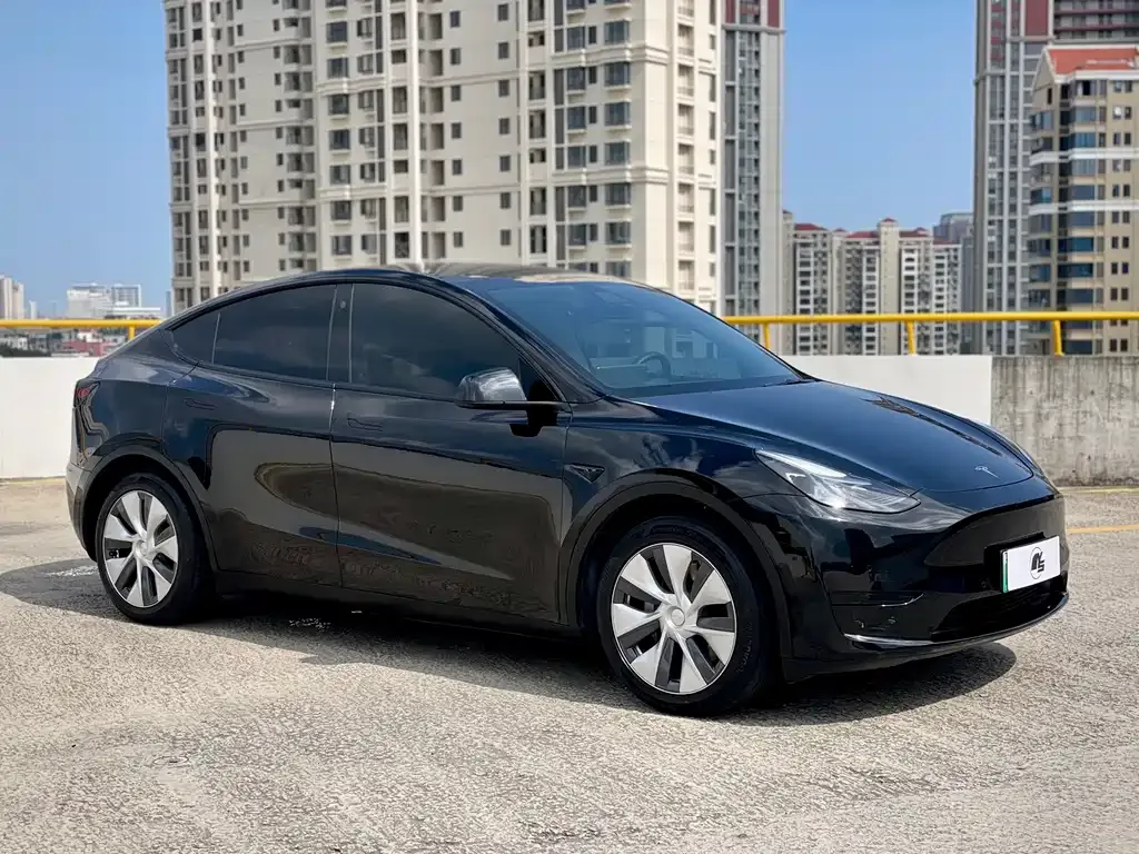 Tesla Model Y — фото 6