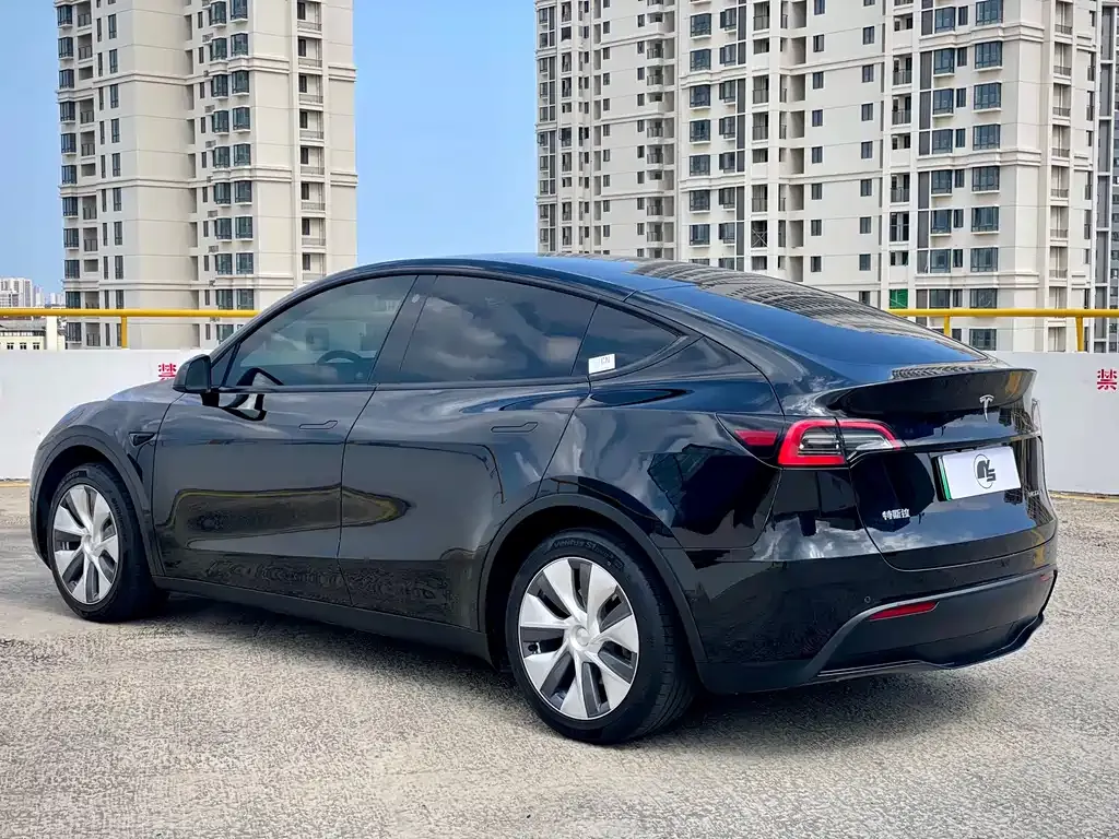 Tesla Model Y — фото 9