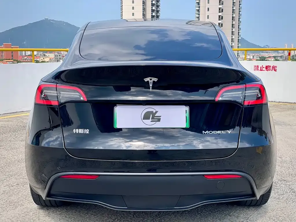 Tesla Model Y — фото 4