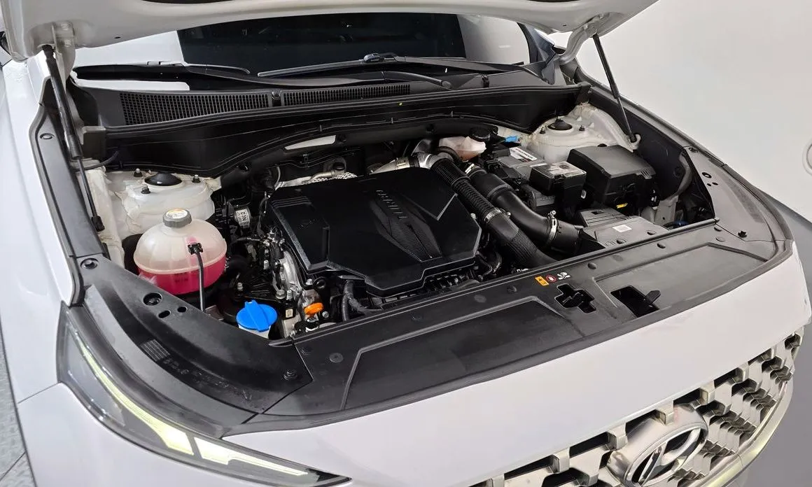 Hyundai Santafe 2021 из KR, фото 9