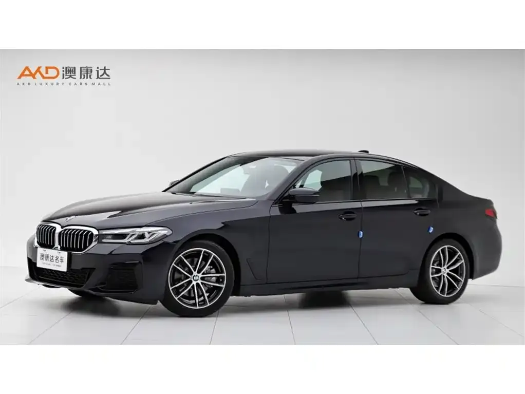 BMW 5 Series (Import) — фото 1