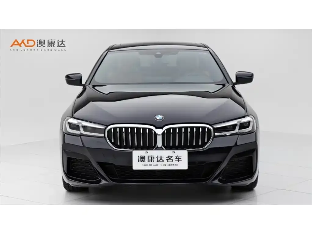 BMW 5 Series (Import) — фото 9