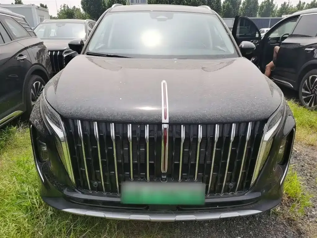 Hongqi HS7 PHEV 2024 из CN, фото 8
