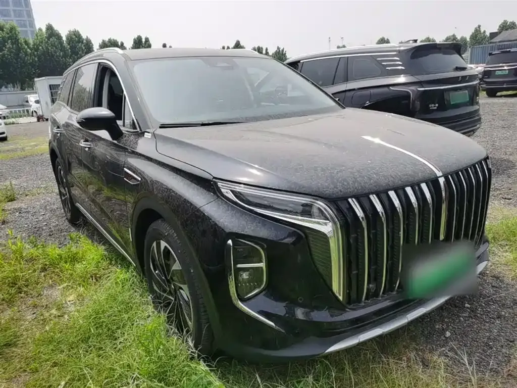 Hongqi HS7 PHEV 2024 из CN, фото 10