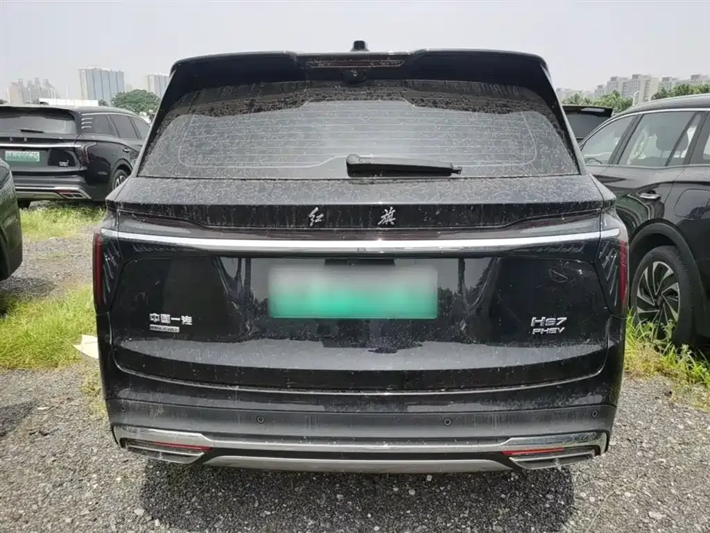 Hongqi HS7 PHEV 2024 из CN, фото 4