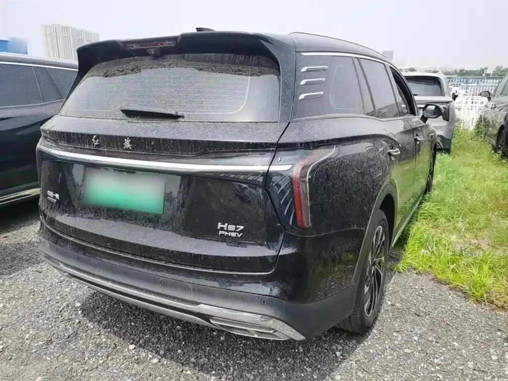 Hongqi HS7 PHEV 2024 из CN, фото 6