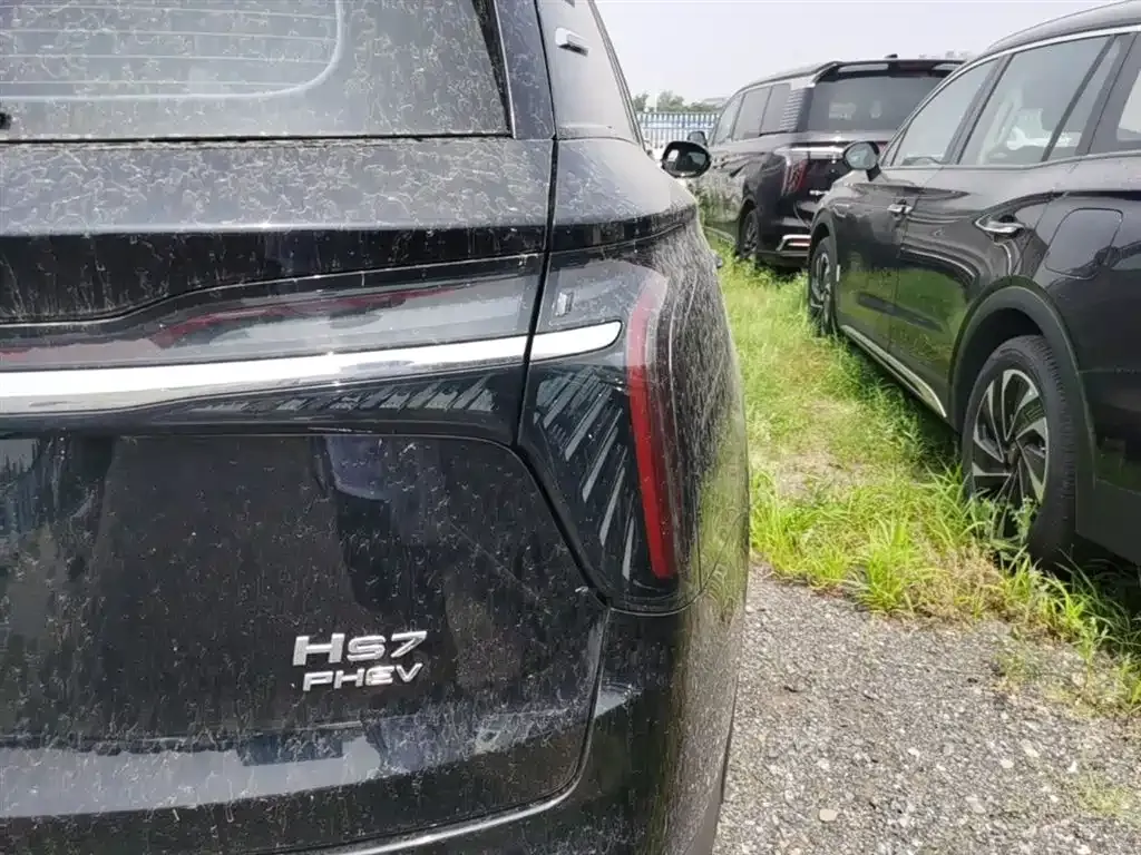Hongqi HS7 PHEV 2024 из CN, фото 5
