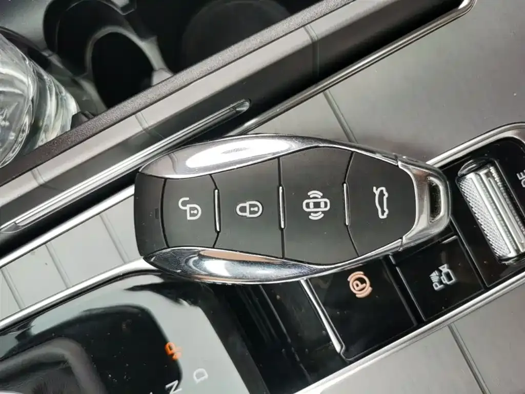 Hongqi HS7 PHEV 2024 из CN, фото 9