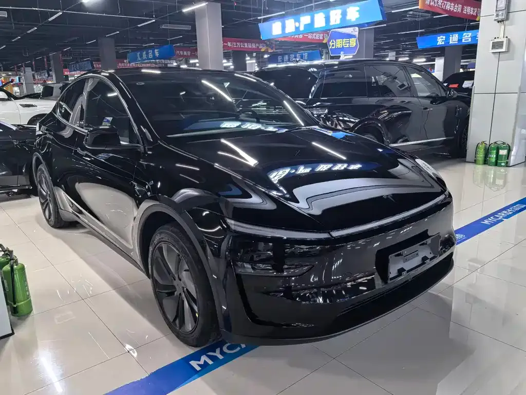 Tesla Model Y — фото 5