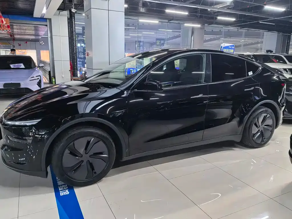 Tesla Model Y — фото 4