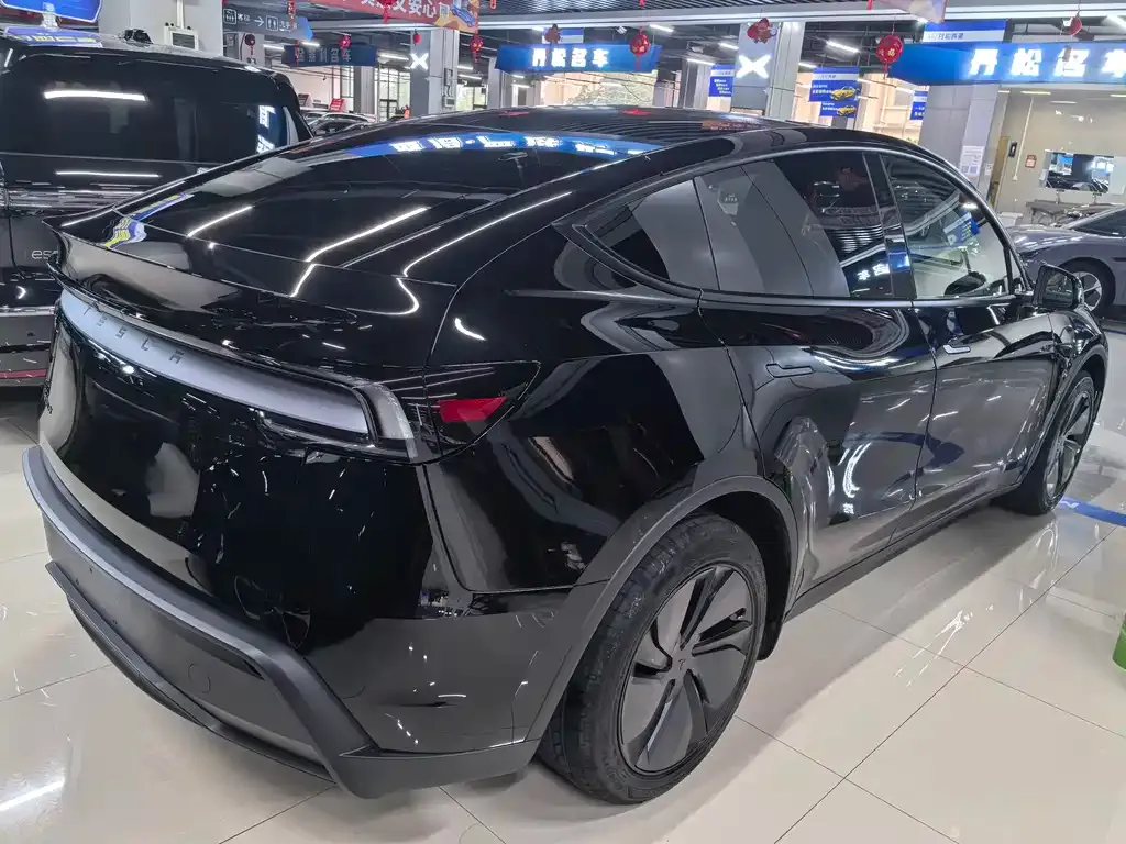 Tesla Model Y — фото 10
