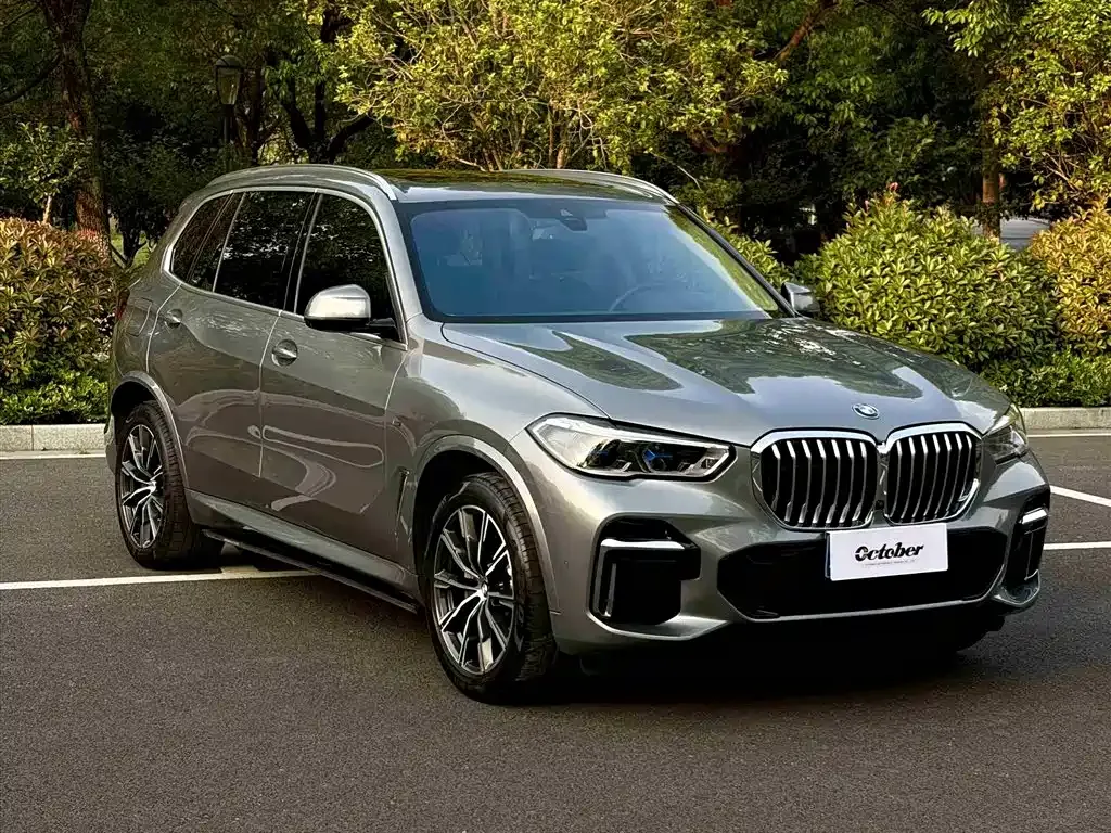 BMW X5 — фото 9