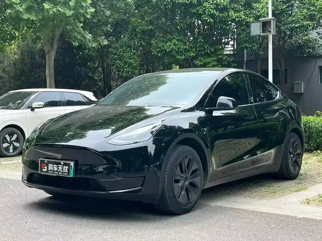 Tesla Model Y — фото 1