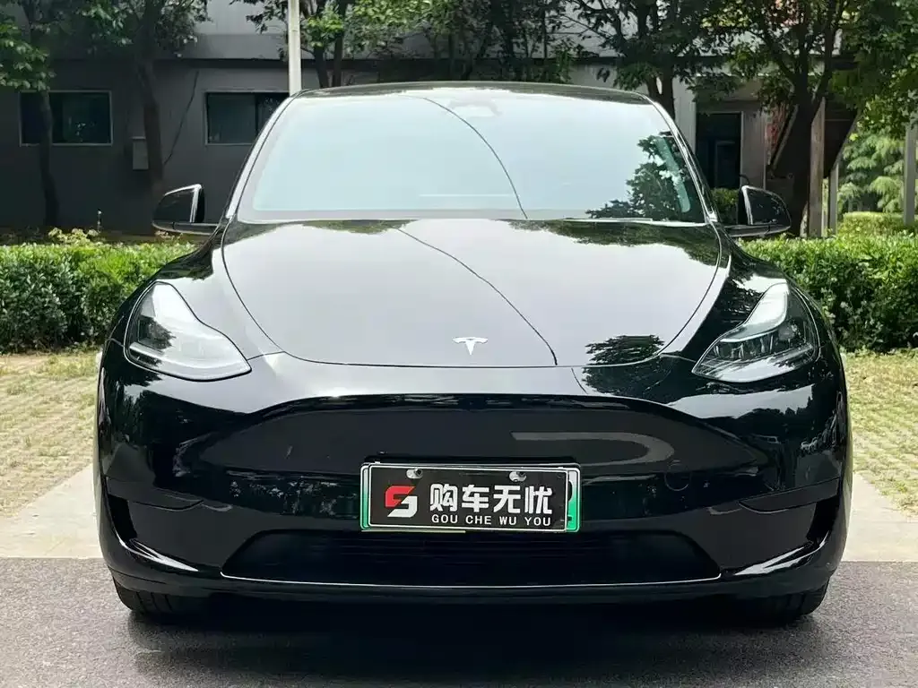 Tesla Model Y — фото 3