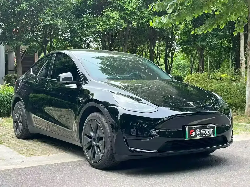Tesla Model Y — фото 7