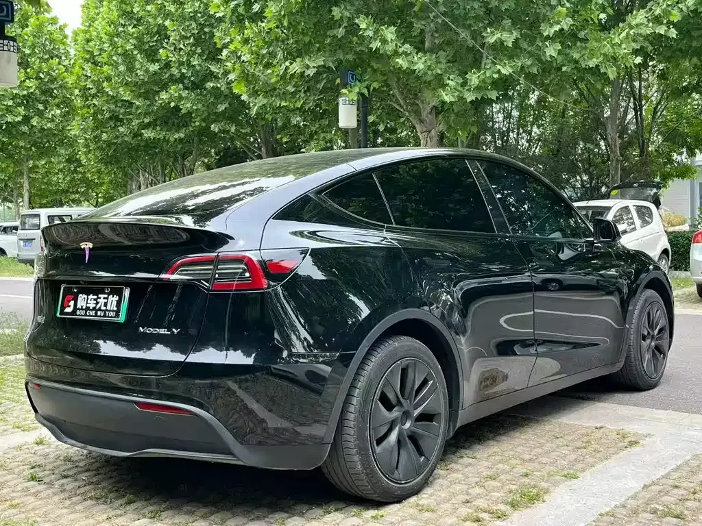 Tesla Model Y — фото 2