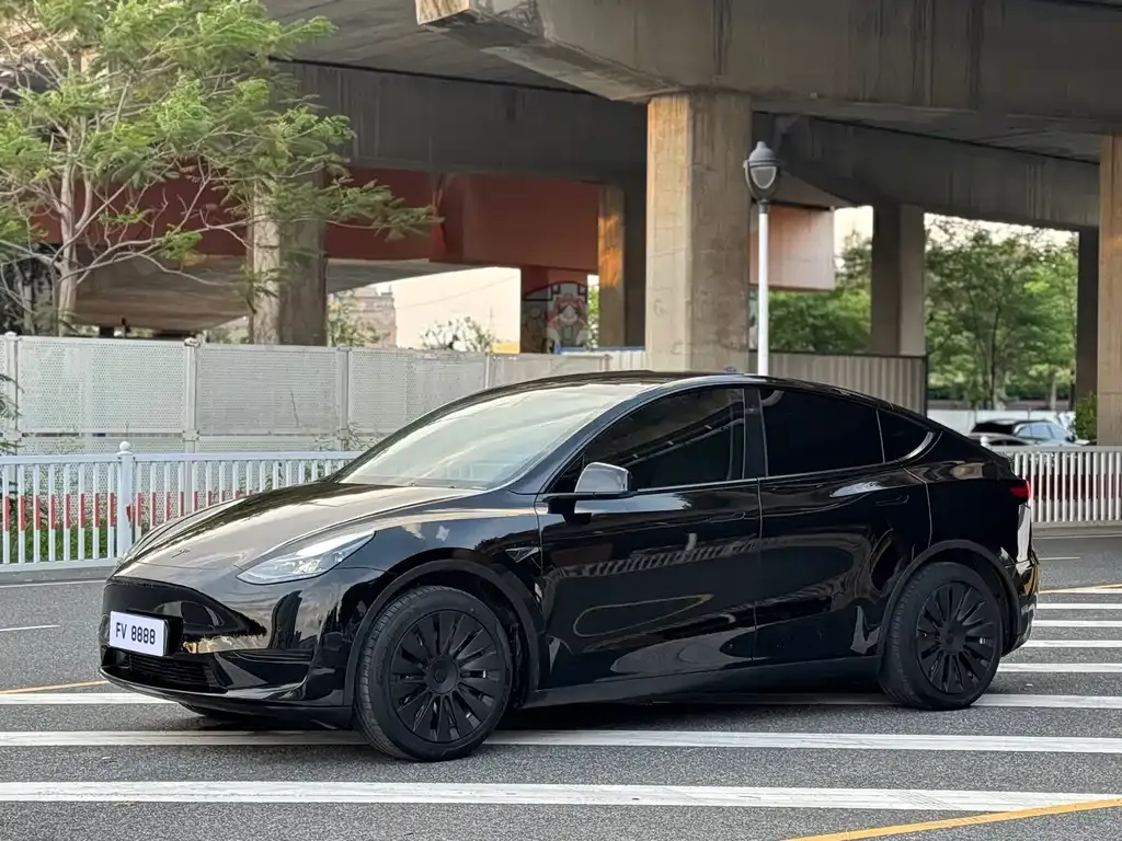 Tesla Model Y — фото 1