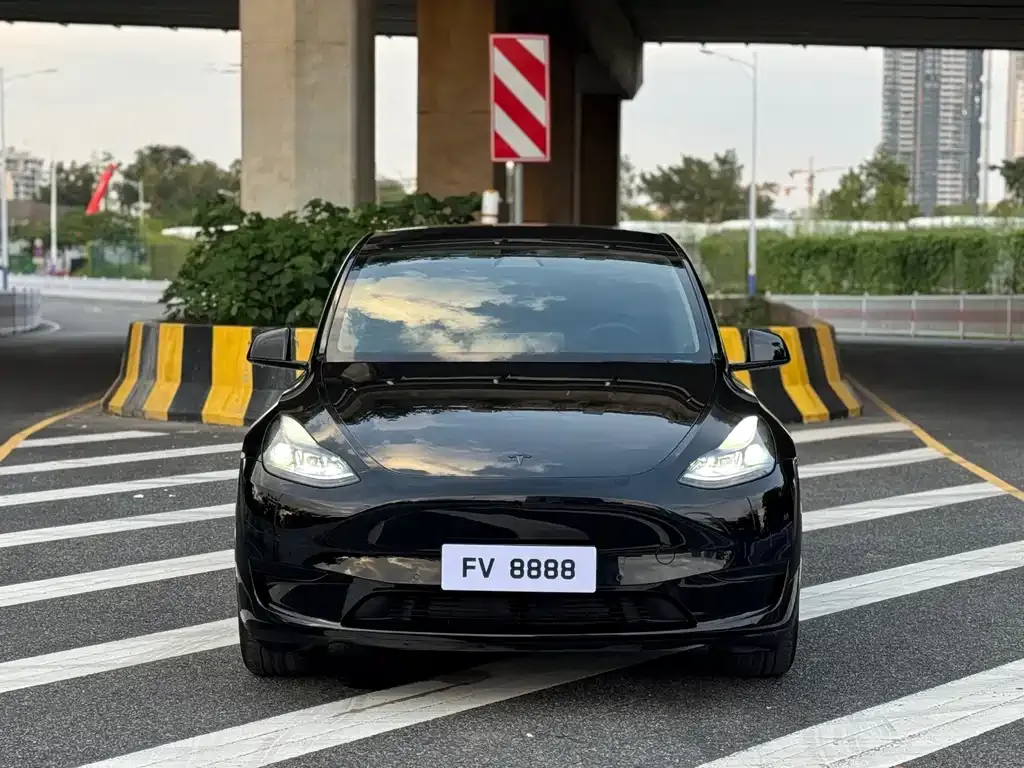 Tesla Model Y — фото 6